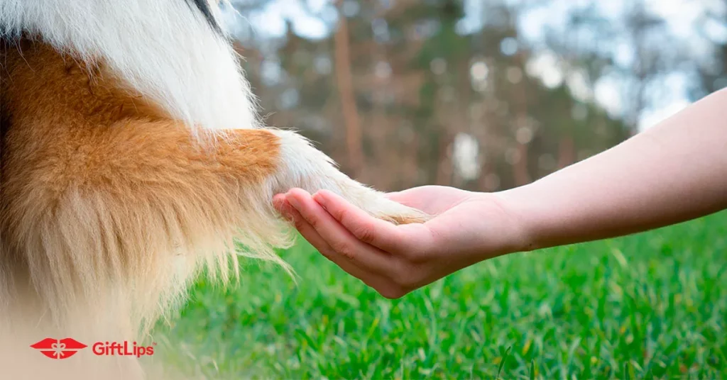 Pet sympathy messages